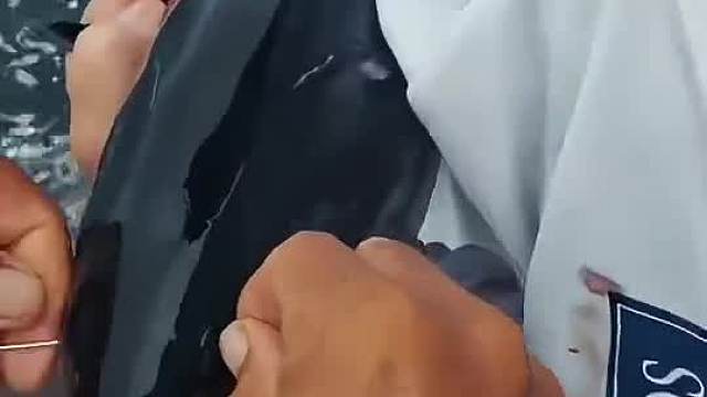 钓什么鱼才能配得上这条饵鱼？