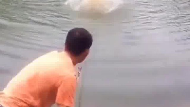 这哪是打窝啊？这是深水炸弹啊这是