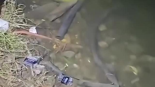 发财了发财了，惊不惊喜意不意外