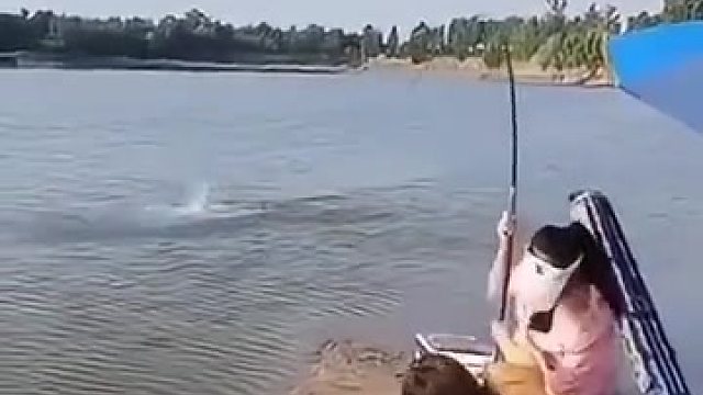 天下之大无奇不有