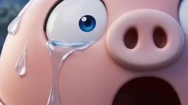 惊魂寻宝队之偷懒的章鱼2