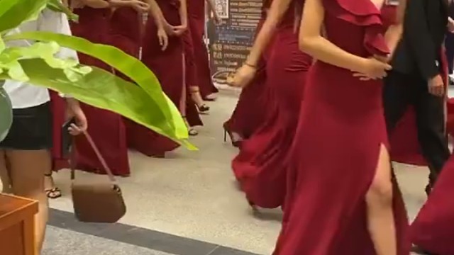 华纳接待