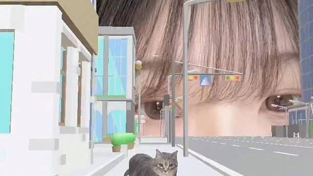 猫咪对不起呜呜呜