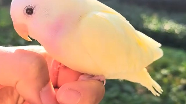 这也太美了吧