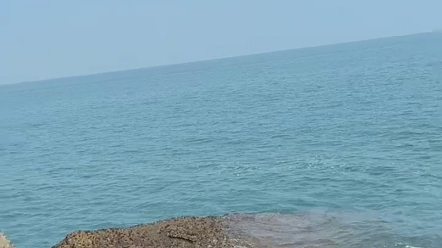 向往的生活