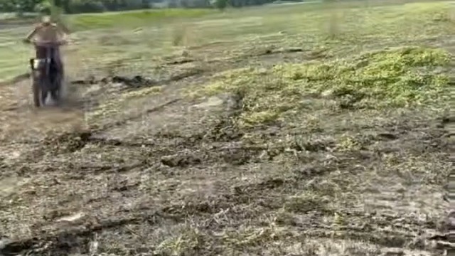 高赛
