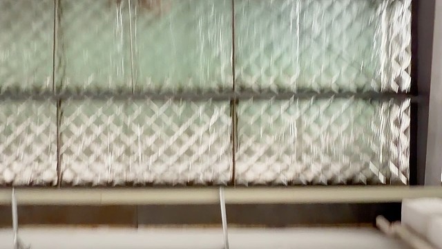 铜光映琉璃，双扉启雅宅#中宝天一铜门 #别墅门 #铜门 #上海