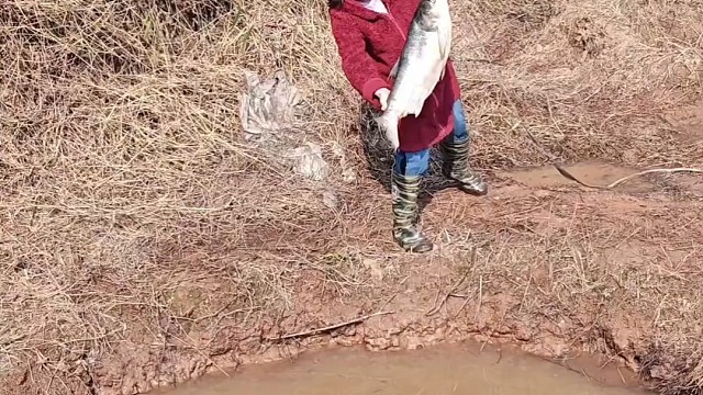 户外抓鱼