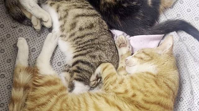 瞪我