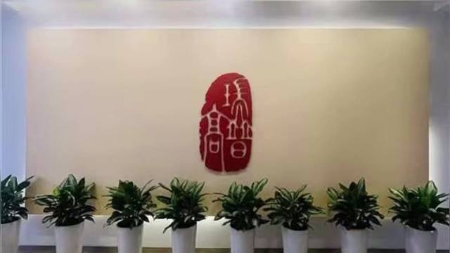 找瑞普高电子