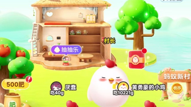 养小鸡