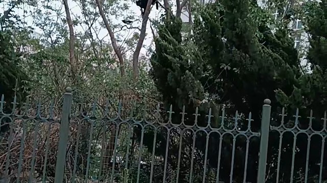 今天正式入驻