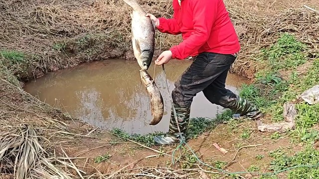 户外抓鱼
