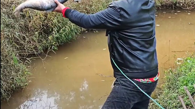 户外抓鱼