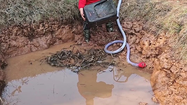 户外抓鱼