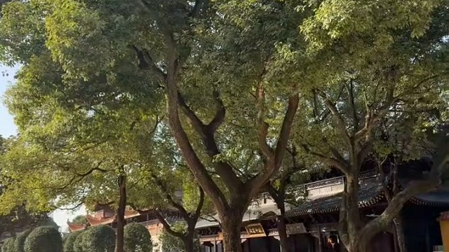 大学日子真快啊