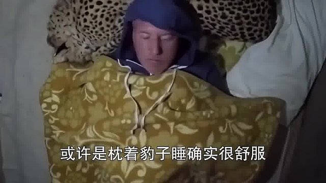 一觉醒来枕头变成了豹枕！ #搞笑 #离谱 #整活
