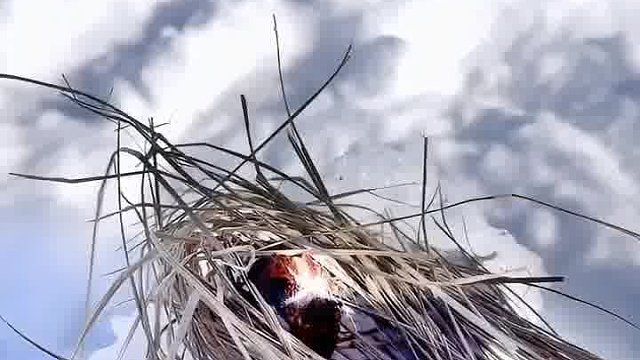 户外用冰块引火#露营报告 #露营技巧报告