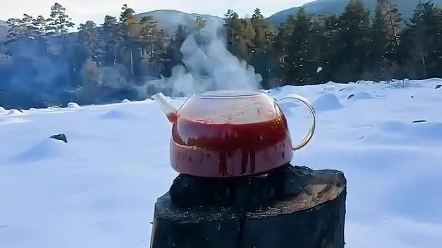 雪地木炉热狗#露营报告 #野营 #户外美食