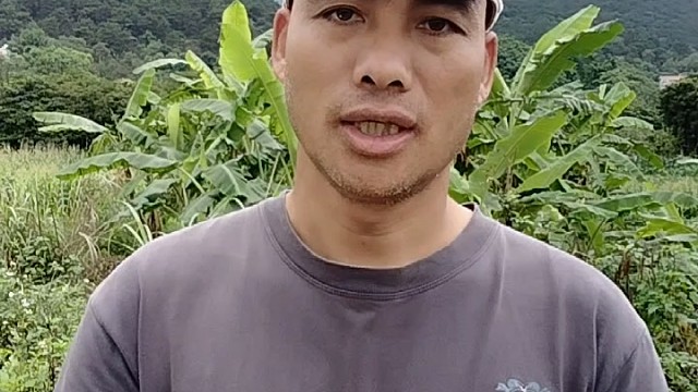 一生平安