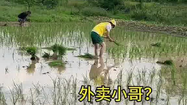 俩儿子常年在外打工，家里插秧没人帮忙