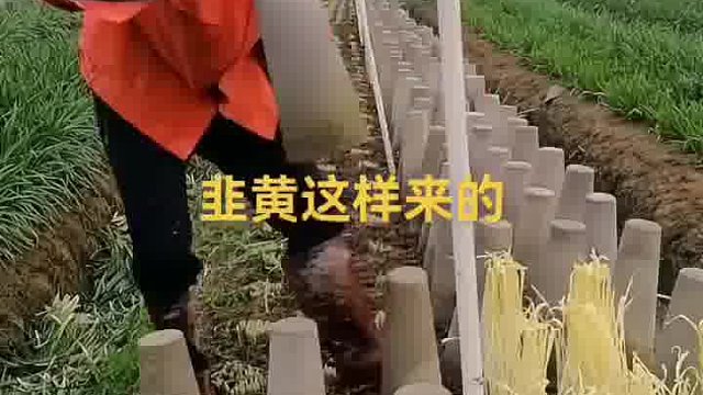 看清楚了吗？没看清楚下次慢点