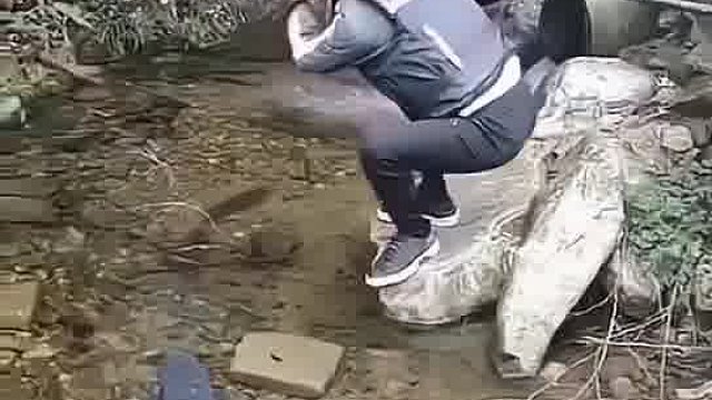 鱼：差点被陷害了