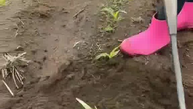 喏，这个就叫专业