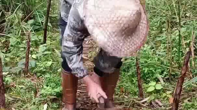 实锤了打完煤球来赶海