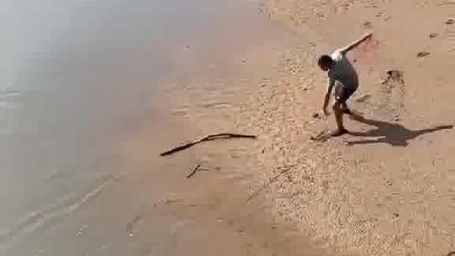 钓鱼的沉默不语了