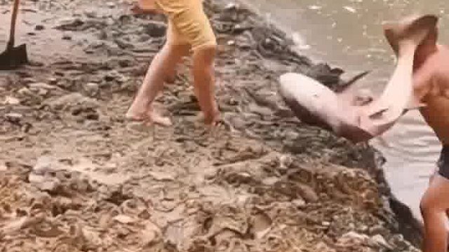 此刻你没有鱼重要