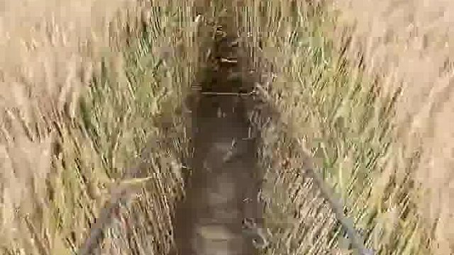 收麦之前的检查