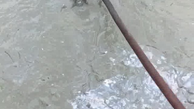 藏得很好就是露了鼻子