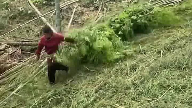 从这里放下去，两三百米。