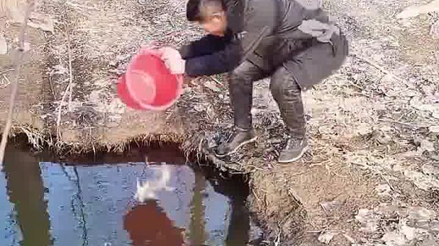 我发布了一个新视频，快来看看吧~