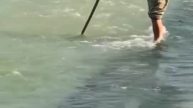 大叔抓鱼真有一套