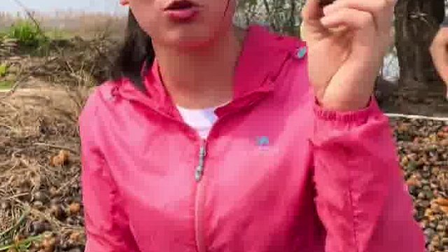 福寿螺不是个好东西，下藕苗之前一定要把它们清理干净
