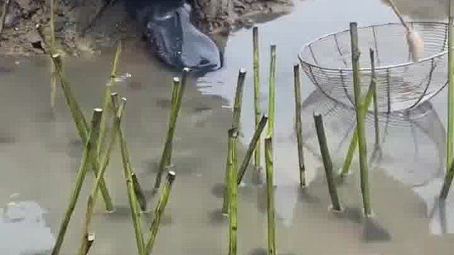 是时候表演真正的技术啦