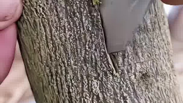 这样真的能接上吗