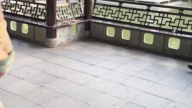 这谁看了不迷糊