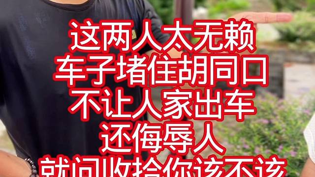 堵车的无赖被打