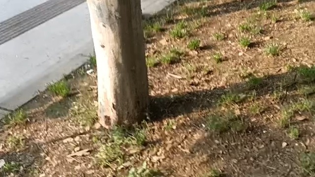 上传视频