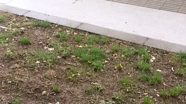 上传视频