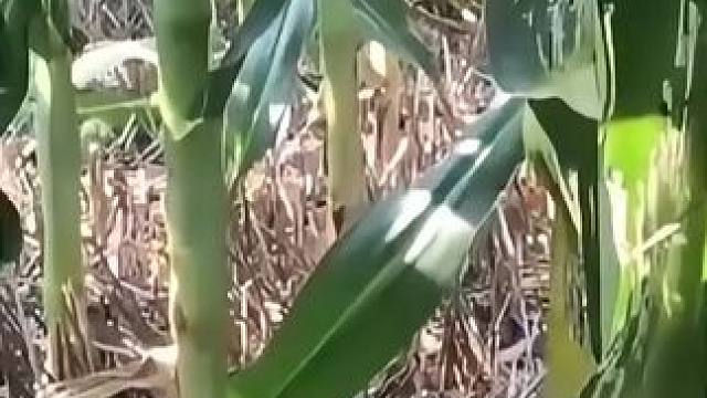 遇到这种情况应该怎么办 遇到这种情况应该怎么办