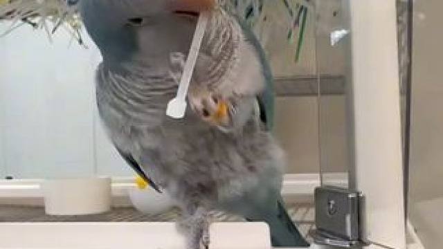 装修一下房子，要娶媳妇了 装修一下房子，要娶媳妇了