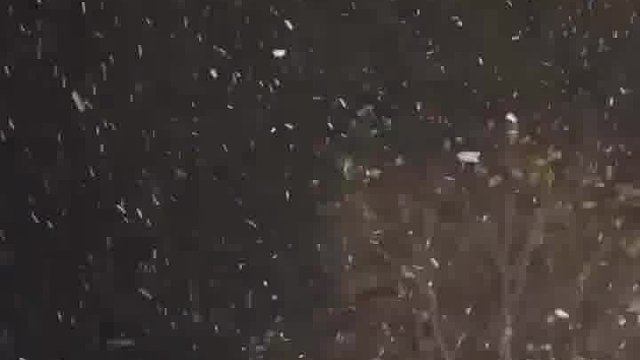 每年的初雪都好像是天上落下来的惊喜。