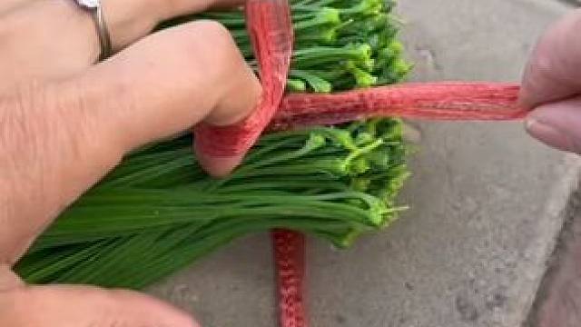 瞅好了，我只教一遍 瞅好了，我只教一遍