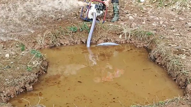 户外抓鱼
