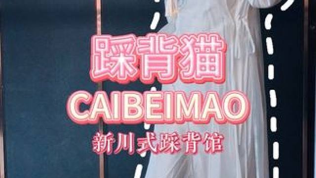 踩背猫-新川式踩背 今日份新川式踩背！猫粉们囤起来吧！