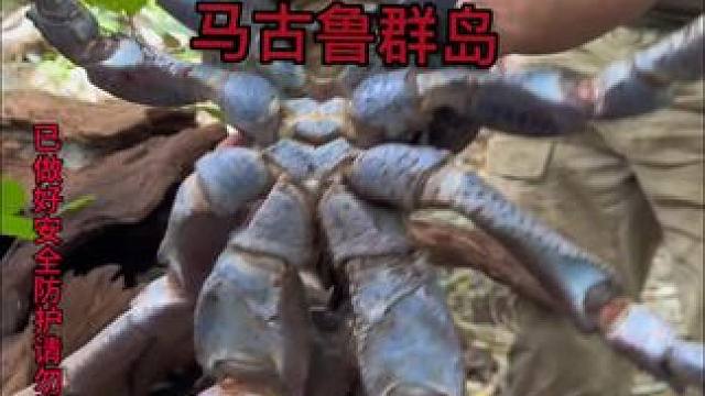 海岛生活